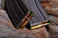 Clip of 5.56mm ammo Royalty Free Stock Photo