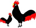 Clip art rooster