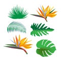 Clip art set with Bright tropical jungle plants, palm leaves and flowers. Vector exotic collection of nature floral elements