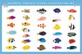 Clip art set of various tropical fish