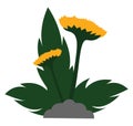 Clipart of yellow flowers with leaves grown above the soil, vector or color illustration