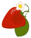 Clipart of a charming red strawberry and a jasmine flower with a leaf on top of it, vector or color illustration