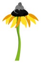 Clipart of a cute little mouse sleeping on the floral disc of a sunflower vector or color illustration