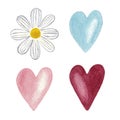 Clipart daisy and hearts, hand painted watercolor illustration