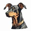 Realistic Doberman Pinscher Dog Face Cartoon Illustration