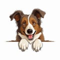 Happy Border Collie Peeking With Camel Cartoon Style