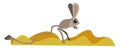 Clipart of a jumping jerboa rodent set on isolated white background viewed from the side vector or color illustration