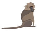 Clipart of a baboon vector or color illustration Royalty Free Stock Photo