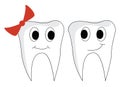 Clipart of a pair of teeth male and female vector or color illustration