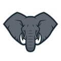 Elephant head mascot logo Royalty Free Stock Photo