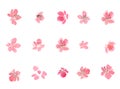 Clipart pink cherry blossoms,Sakura set flowers. Abstract watercolor painting. Pink flowers abstract painting.