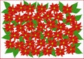 Clipart with poinsettias Royalty Free Stock Photo