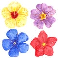Clipart set of colorful flowers, Hibiscus, Clematis, daisy and Primrose