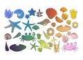 clipart set of marine theme shells starfish, crab, on a rainbow transparent background