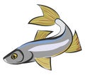 Clipart of a sig fish vector or color illustration