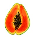 Clipart tropical papaya fruit, cutaway. Bright watercolor illustration
