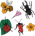 Clipart of vector cartoon insects and flowers. Illustration of a stag beetle, a ladybug on a leaf, a bee on a honeycomb, and Royalty Free Stock Photo