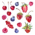 Clipart watercolor strawberry cherry raspberry blueberry cranberry isolated on white background. Hand-drawn sweet summer Royalty Free Stock Photo
