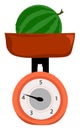 Clipart of a whole watermelon weighed on weighing scale vector or color illustration