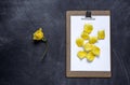 Clipboard with and aPetals of yellow rose on black background. V Royalty Free Stock Photo