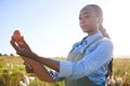 Clipboard, black woman and egg at farm for inspection, supply chain or quality control in countryside. Poultry farming