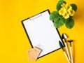 Clipboard and paper for text, yellow primrose flower, garden tools and seeds in paper bags on yellow background. Top view Royalty Free Stock Photo