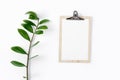 Clipboard zamioculcas branch white background top view flat lay Royalty Free Stock Photo