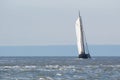 Clipper on Dutch wadden sea Royalty Free Stock Photo