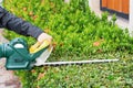 bush trimming. Shrub pruning, gardening. Royalty Free Stock Photo