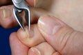 Clipping nails with nail clippers on blue background. Long toenails is problems for wearing shoes. Use the clipper cut Royalty Free Stock Photo
