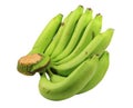 Clipping path cavendish banana,close up cavendish banana