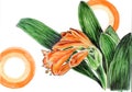 Clivia with circles markers