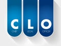 CLO - Chief Legal Officer acronym, business concept