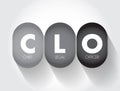 CLO Chief Legal Officer - head of the corporate legal department and is responsible for the legal affairs of the entire