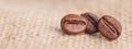 Cloceup of brown roasted coffee beans seeds on burlap textile background black caffeine drink and energy mocha ingredient