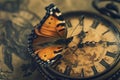 Clock With Butterfly Close Up