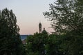 Clock church tower seen through tree at sunset blue hour Royalty Free Stock Photo