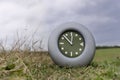 Clock In A Field