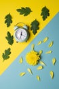 clock and flower decorated with leaves and petals on a flat vertical background Royalty Free Stock Photo