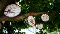 Clock made from cardboard on the tree Royalty Free Stock Photo