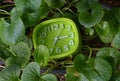 Green Clock Royalty Free Stock Photo
