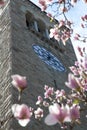 Clock Surrounded, Cornell University, Ithaca, NY Royalty Free Stock Photo