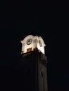 clock tower and the beautiful night in the whole town