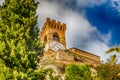 clock tower behind trees Royalty Free Stock Photo