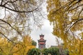 Clock tower in Huaxi Sichuan University medicine campus - Chengdu