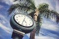 Clock tower and palm tree Royalty Free Stock Photo