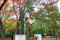 Clock tower to forecasts the weather at Maruyama Park in autumn season