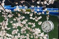 A clock under beautiful cherry blossom trees and rowboats parking on the green water in background in Chidorigafuchi Urban Park Royalty Free Stock Photo