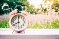 Clock on wood in the morning, blurred nature background Royalty Free Stock Photo