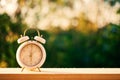 Clock on wood in the morning, blurred nature background Royalty Free Stock Photo